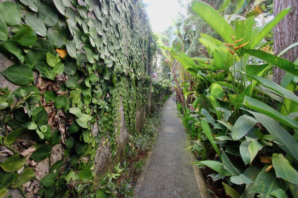 Gasthof Rahayu House Ubud